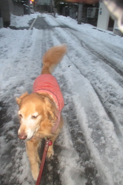 ファイル 3436-4.jpg