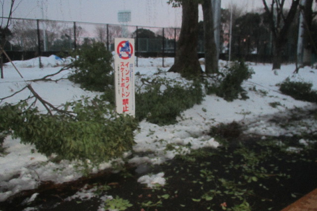 ファイル 3436-5.jpg