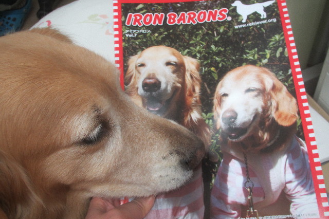 ファイル 3438-3.jpg