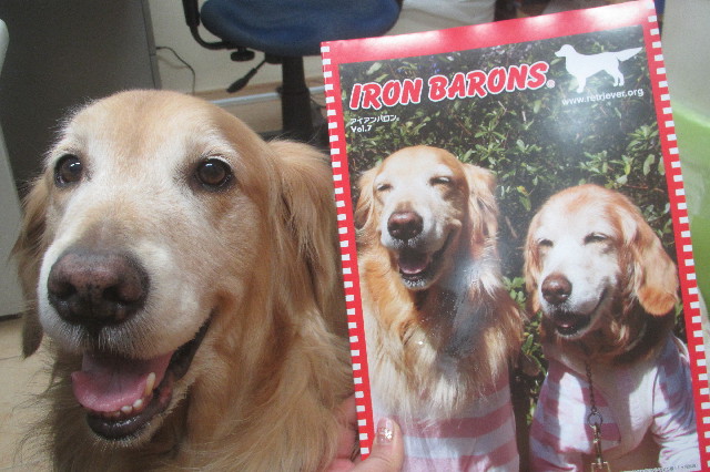 ファイル 3438-5.jpg