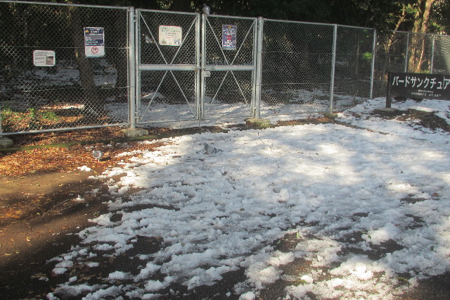 ファイル 3439-4.jpg