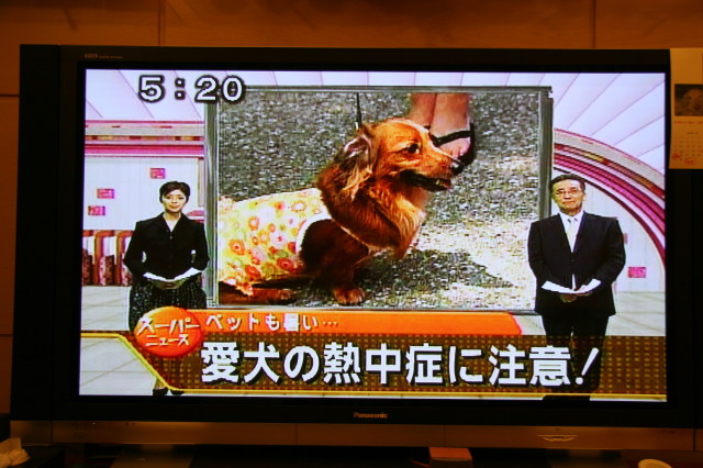 ファイル 344-1.jpg