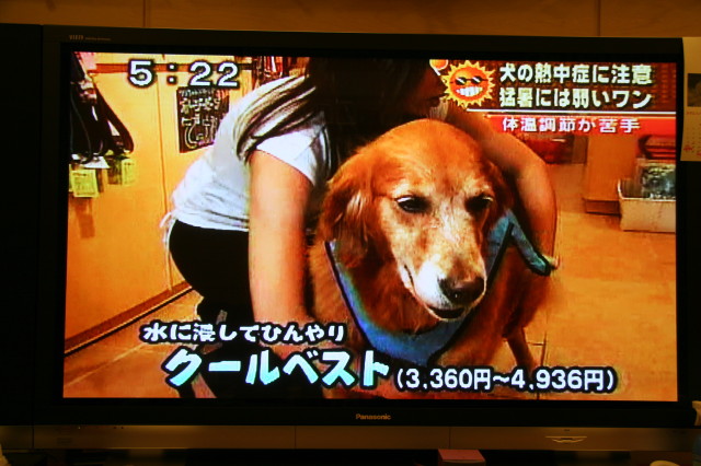 ファイル 344-2.jpg