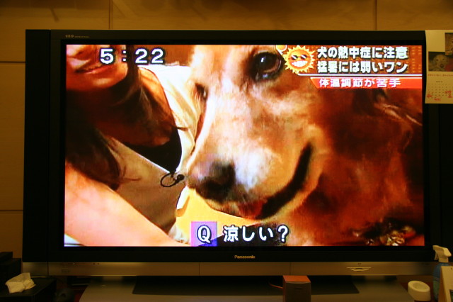 ファイル 344-3.jpg