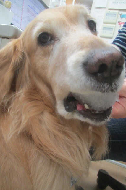 ファイル 3444-1.jpg