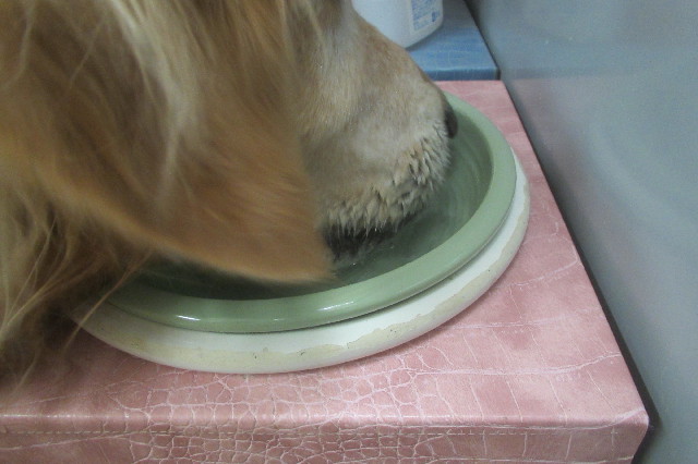 ファイル 3444-2.jpg