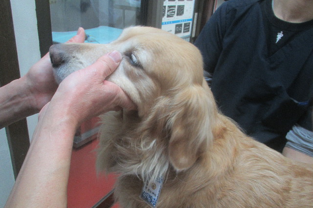 ファイル 3445-1.jpg