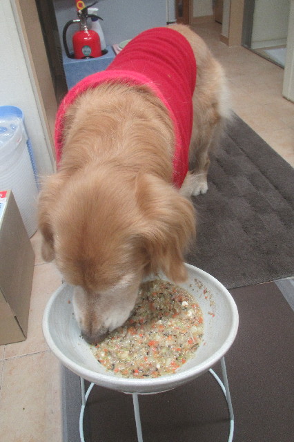 ファイル 3447-2.jpg