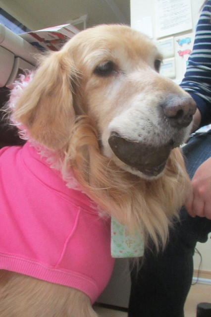 ファイル 3447-3.jpg