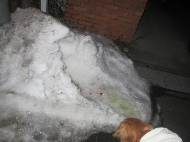 ファイル 3447-4.jpg