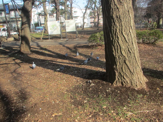 ファイル 3449-1.jpg