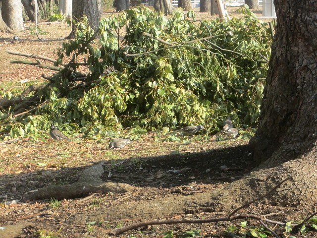 ファイル 3449-2.jpg