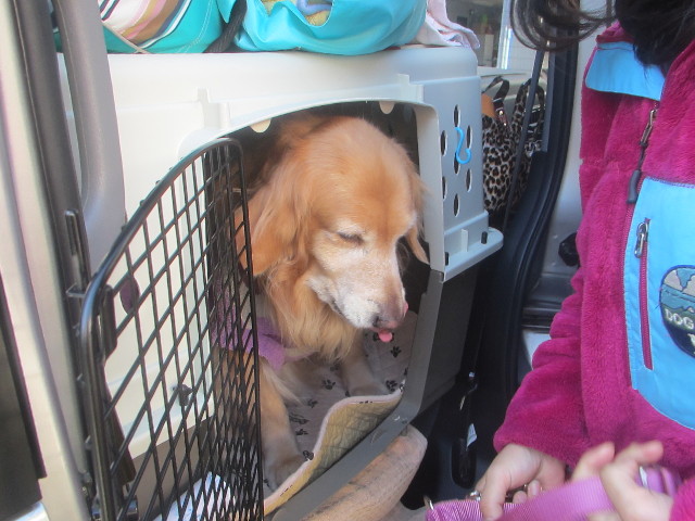 ファイル 3449-4.jpg