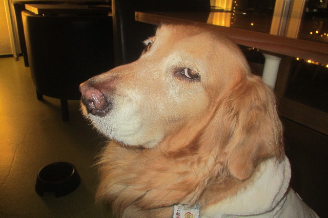 ファイル 3450-3.jpg