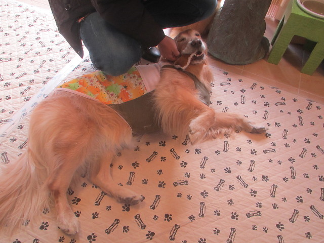 ファイル 3450-4.jpg