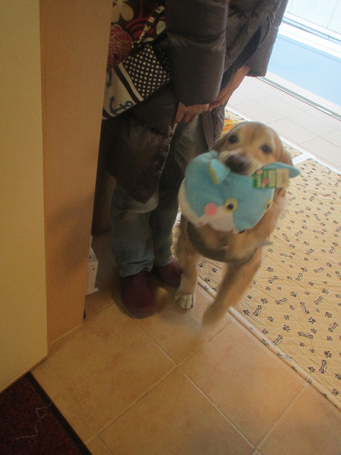 ファイル 3450-5.jpg