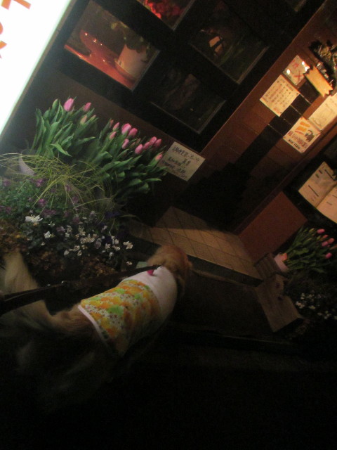 ファイル 3451-2.jpg