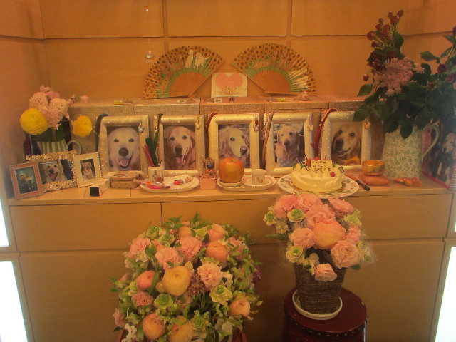 ファイル 3454-4.jpg