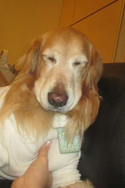 ファイル 3456-3.jpg