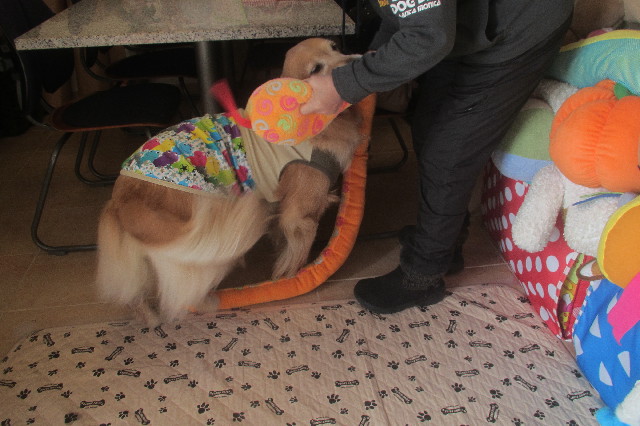 ファイル 3458-3.jpg