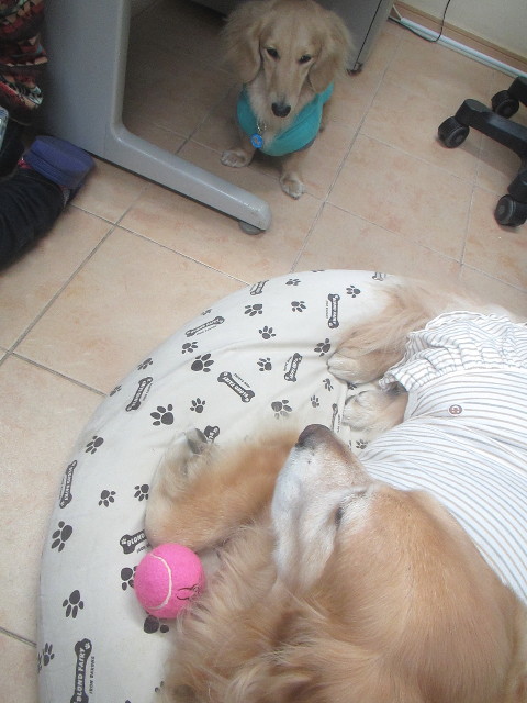 ファイル 3461-3.jpg