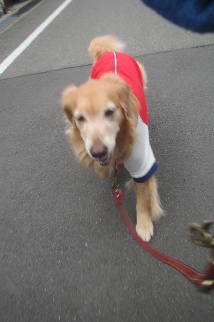 ファイル 3463-1.jpg