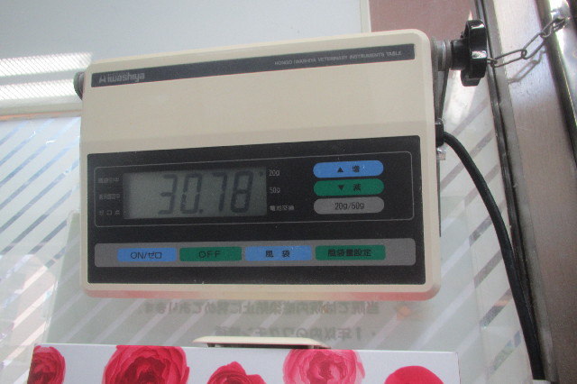 ファイル 3463-2.jpg