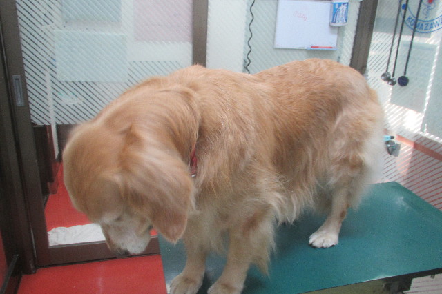 ファイル 3463-3.jpg