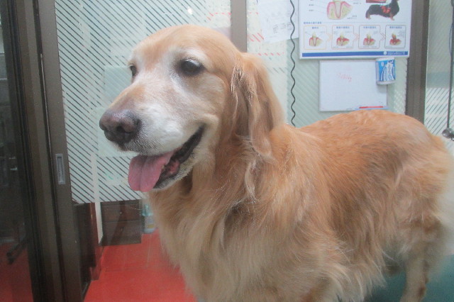 ファイル 3463-4.jpg