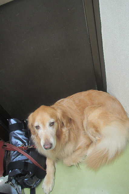 ファイル 3463-5.jpg