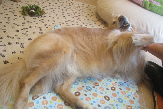 ファイル 3464-2.jpg