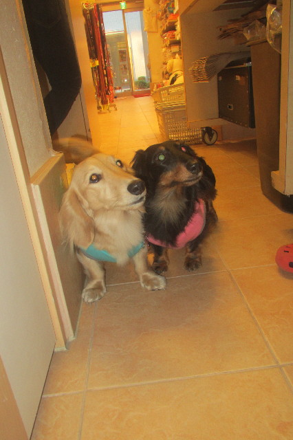 ファイル 3464-3.jpg