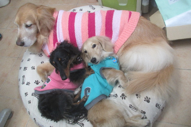 ファイル 3464-4.jpg