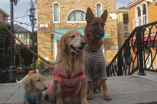 ファイル 3465-1.jpg