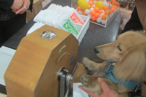 ファイル 3465-3.jpg