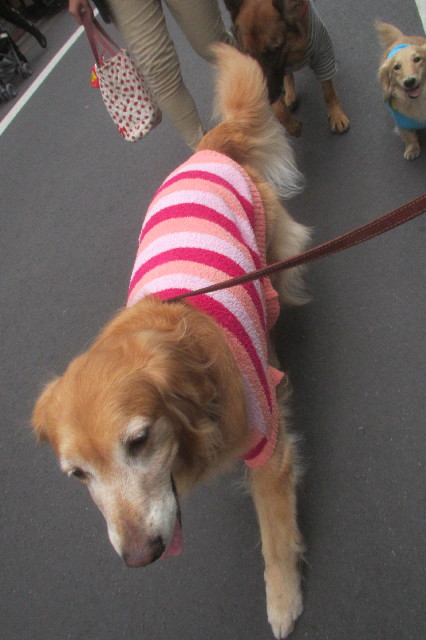 ファイル 3465-5.jpg