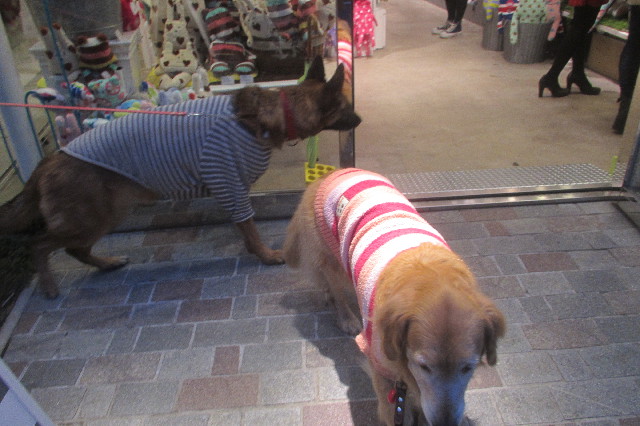 ファイル 3466-2.jpg