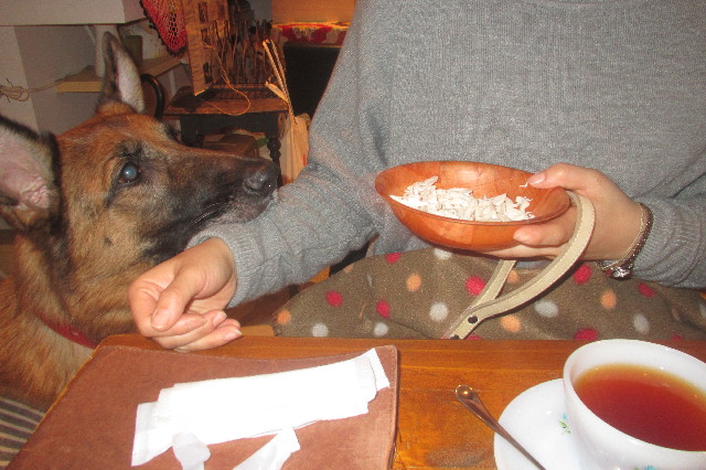 ファイル 3466-3.jpg