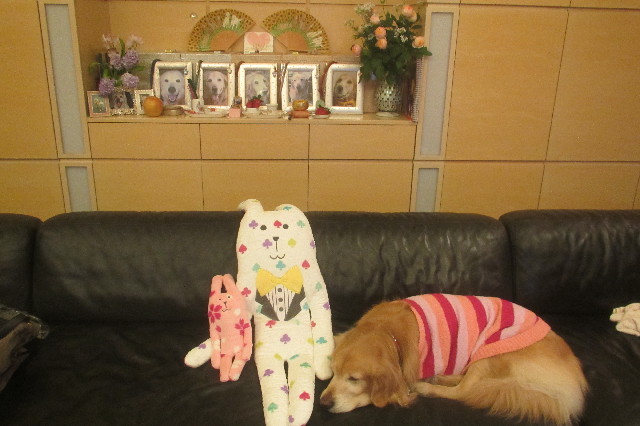 ファイル 3466-5.jpg