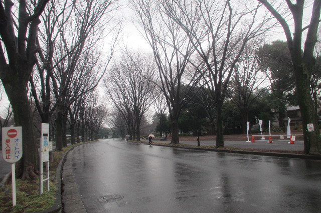 ファイル 3467-3.jpg