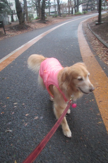 ファイル 3467-4.jpg