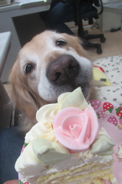 ファイル 3469-4.jpg