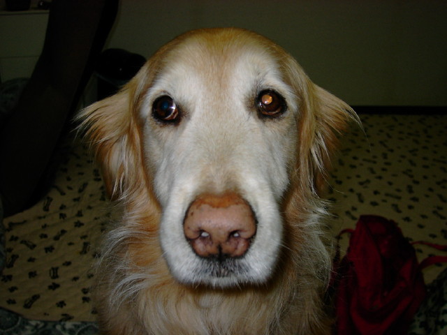 ファイル 347-1.jpg