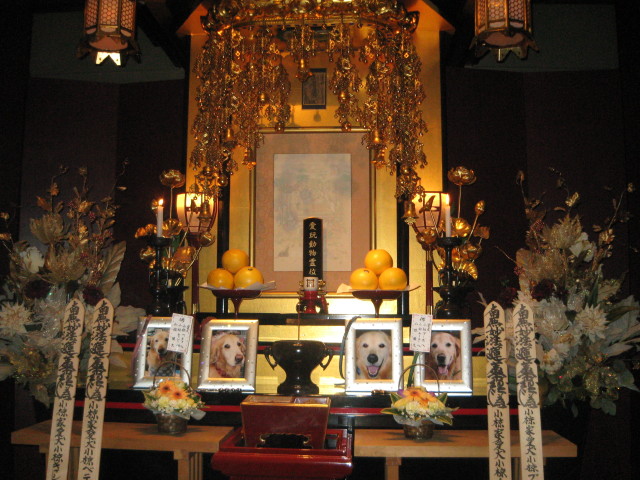 ファイル 347-2.jpg