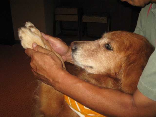 ファイル 347-3.jpg