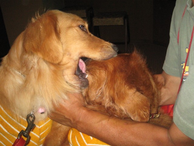 ファイル 347-4.jpg