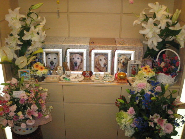 ファイル 347-5.jpg