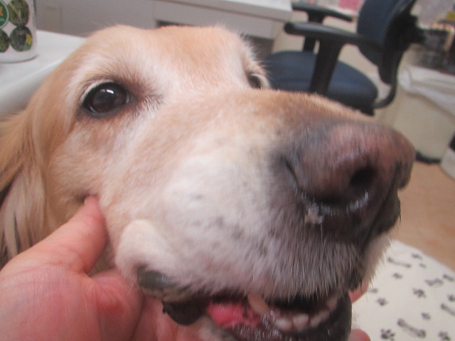 ファイル 3470-1.jpg