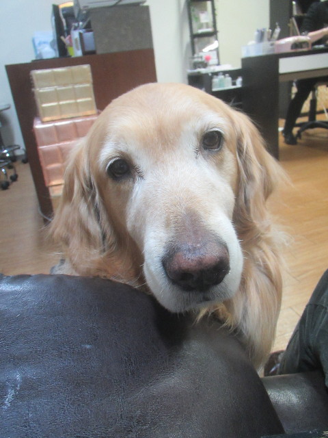 ファイル 3473-3.jpg