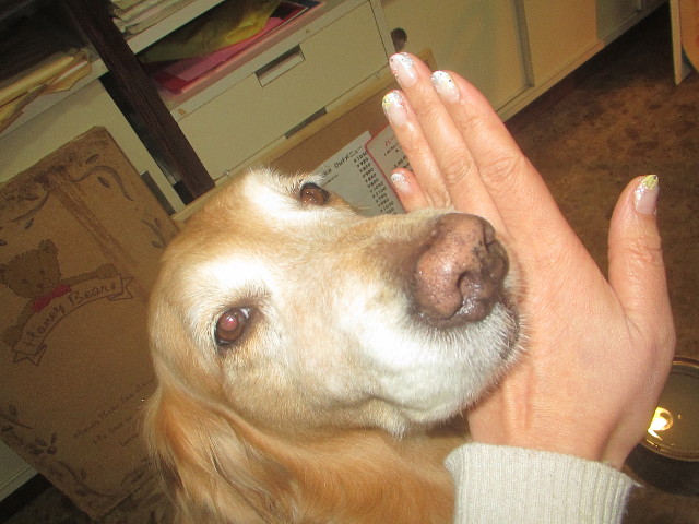 ファイル 3473-4.jpg